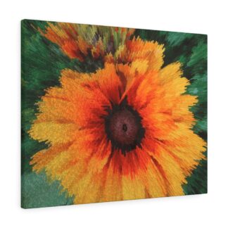 Black Eyed Susan Daisy