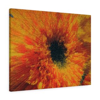 Teddy Bear Sunflower