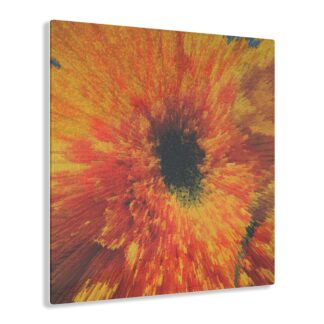 Teddy Bear Sunflower