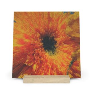 Teddy Bear Sunflower